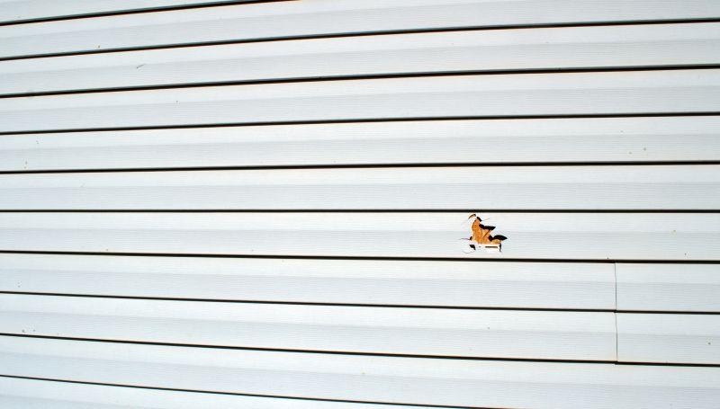 Exterior Siding Repair